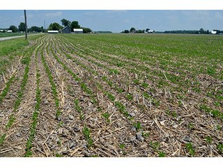 Property photo 55 - LAND AUCTION - 700+/- ACRES OFFERED IN 16 TRACTS IN ALLEN COUNTY, INDIANA
